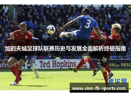 加的夫城足球队联赛历史与发展全面解析终极指南