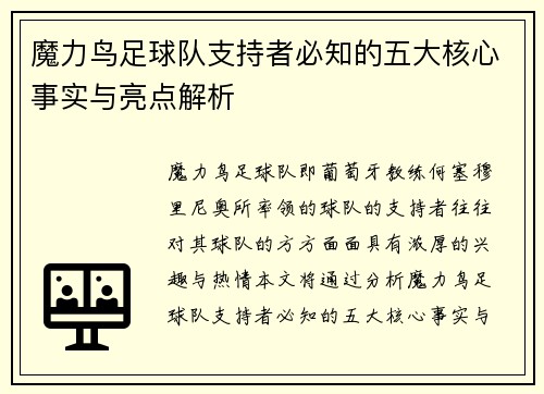 魔力鸟足球队支持者必知的五大核心事实与亮点解析 魔力鸟足球队支持者必知的五大核心事实与亮点解析